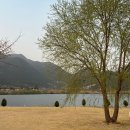 매화공원 이미지