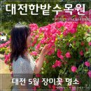 한밭목장 이미지