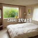서쪽스테이 | 제주 서쪽 감성숙소 스테이모락&amp;오몽 내돈내산 후기