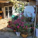 화원농장 이미지