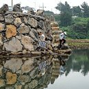 아침 이레 농장 이미지