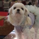 엘리하우스 이미지