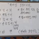 회세상오징어나라