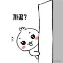 지*미 - 미추홀구 매소홀로418번길 14-13 | 지*미