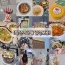 26년 3월의 방선이 일상모음