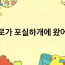 포실하개 이미지