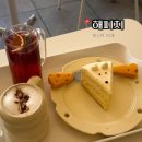 해피치 애견카페 | [서대문 증산역 카페] 해피치 햄스터들이 반겨주는 곳