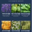 제모크림추천 크린모노 제모크림 150ml, 역대급 털보 아저씨의 저자극 다리털 제모 솔직후기