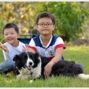 두리원민박 이미지