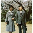 조원관광진흥(주) 이미지