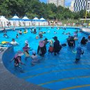 남동수영장 이미지