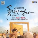 북면382 | 인제에서 꽃길만 걷자! 2025 인제 가을꽃 축제, 낭만 가득한 힐링 스팟