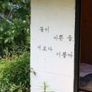 파르데스