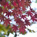 남경오토 이미지