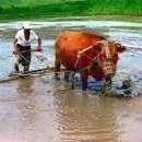고맙소 - 달서구 | 고맙소