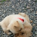 우드힐펜션 이미지