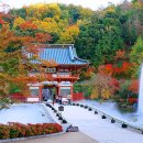 가이드 민박 이미지