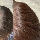 사리산 | 안산미용실 사리역 로코헤어 후기