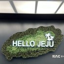 소서제주 7월3일 | 내돈내산 제주 숙소 추천 :: 소서제주 7월 3일 숙박 후기 with 23개월 뽀짝