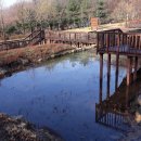 마당이수목원 이미지