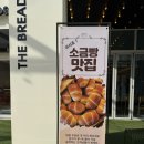36.5 | 운정소금빵 맛집! 운정베이커리카페 더브래드36.5도 방문후기