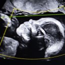 READ n PLAY(For Book Quiz) 이미지