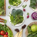 건강의향기 이미지