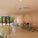 개들랜드 이미지