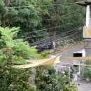 카페모니 이미지