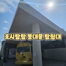 도전 역사탐험대 | 초등학생 아이와 함께한 호시탐탐 동대문 탐험대 체험후기 및 생생후기