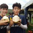 코코넛제주 스포츠조선
