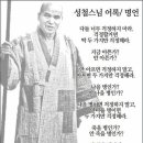 🎋해처럼! 물처럼! 바람처럼!🎋 이미지