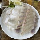 성남 맛집 수진역 횟집 :: 신광수산 내돈내산