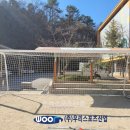 한빛중학교 이미지