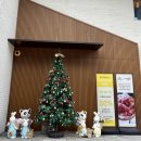 좋은아침 | 남원빵집 좋은아침 페스츄리 솔직후기