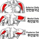 팀거너짐 이미지