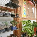 해오름한옥민박 이미지