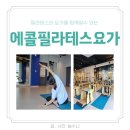 엠지필라테스&PT | 전주운동 필라테스와 요가를 함께할수있는 에콜필라테스요가