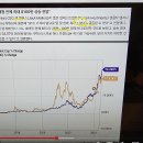 BIT COIN 의 향후 전망 이미지