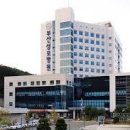 천주교부산교구유지재단 부산성모병원 이미지