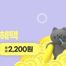 퍼스트치킨 이미지