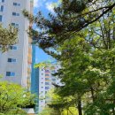 더반 힐 리조트펜션 이미지