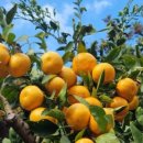 온유농장 이미지