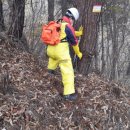 소나무푸드 이미지