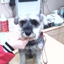 종합동물병원 이미지