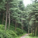 황토내음 이미지