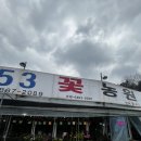 유성농원 | 대전 다육이 꽃농원ㅣ153가드닝 전민동 탑립동 근처 식물 구매 후기