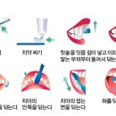치아의 관리 이미지