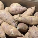 꿀이농장 이미지