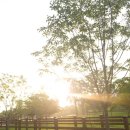 미라클태권도장 이미지